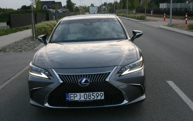 pajęczno Lexus ES cena 180000 przebieg: 28500, rok produkcji 2019 z Pajęczno